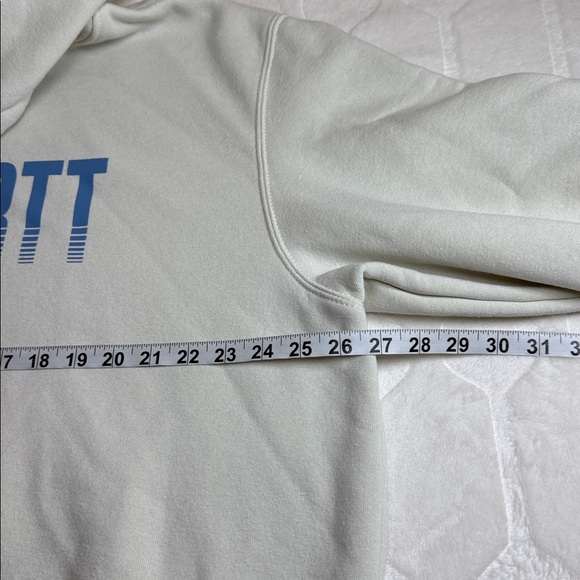 Carhartt Loose Fit Hoodie Light Sage Green Logo Sweatshirt Men XL Tall - Picture 6 of 10